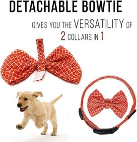 img 2 attached to 🎀 Regal Dog Products Cool Bowtie Collar: Custom Fit for XS to Large Dogs, Cats, and Puppies in Multiple Colors - Perfect Birthday Gift for Your Fashionable Pet!