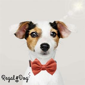 img 1 attached to 🎀 Regal Dog Products Cool Bowtie Collar: Custom Fit for XS to Large Dogs, Cats, and Puppies in Multiple Colors - Perfect Birthday Gift for Your Fashionable Pet!