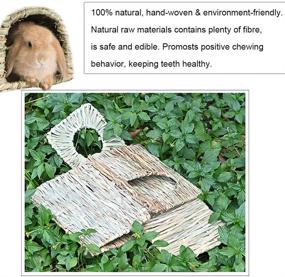 img 1 attached to 🏠 Natural Hand Woven Seagrass Hay Hut - Foldable Grass House Hideaway Toy for Rabbit, Guinea Pigs, Chinchilla, Small Animals (1 Pack)