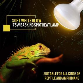 img 2 attached to OMAYKEY 75W (2-Pack) Soft White Glow Basking Spot Heat Lamp Bulb with UVA Glass Cover - Ideal for Lizard, Bearded Dragon, Chameleon, Snake, Turtle, Aquarium, Reptiles & Amphibians