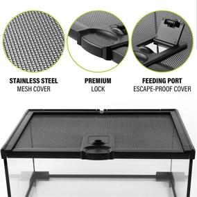 img 3 attached to 🦎 Reptile Glass Terrarium - Amphibians Habitat Cages 12x8x6.3 Starter Kit with Top Sliding Door, Screen Ventilation, Heating Mat, Stainless Steel Tweezer, and Hygrometer Thermometer