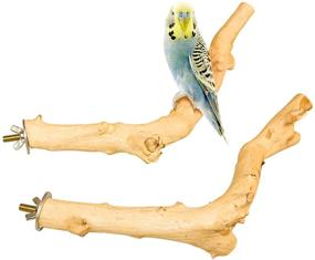 img 1 attached to 🐦 Enhance Your Pet Bird's Cage with Roundler 5 PCS Bird Perch Wood Stand Pole: A Perfect Exercise Playground Toy and Cage Accessories for Parrot Budgie Parakeet Cockatiel Conure Lovebirds