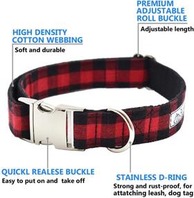 img 1 attached to Bubblepup Collar Leash Adjustable Medium