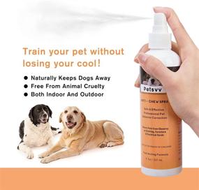 img 3 attached to No Chew Spray for Dogs and Puppies, Anti Chew Deterrent Spray to Stop Biting, Safeguard Household Items