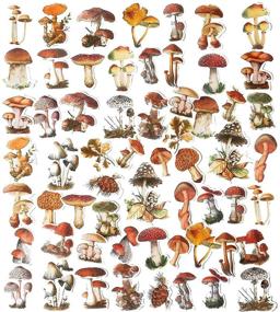 img 3 attached to 🍄 Unique Mushroom Laptop Stickers Decals for DIY Decoration - 60PCS Doraking Mushroom Collection Pack