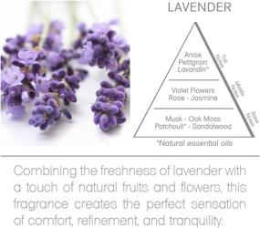 img 1 attached to Acqua Aroma Lavender Reed Diffuser Oil Refill - 6.8 FL OZ (200ml) Made with Essential Oils | Handcrafted in Brazil