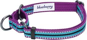 img 1 attached to 🐶 Stylish and Safe: Blueberry Pet 8 Colors 3M Reflective Multi-Colored Stripe Martingale Dog Collars