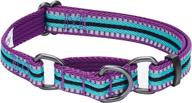 🐶 stylish and safe: blueberry pet 8 colors 3m reflective multi-colored stripe martingale dog collars logo