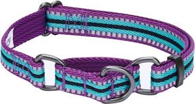 img 4 attached to 🐶 Stylish and Safe: Blueberry Pet 8 Colors 3M Reflective Multi-Colored Stripe Martingale Dog Collars