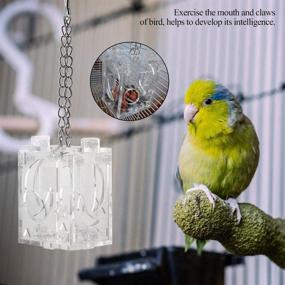 img 1 attached to 🦜 TOPINCN Acrylic Parrot Feeder Box with Hang Foraging Toy - Pet Intelligence Growth Cage Feeding Box for Parrot Bird