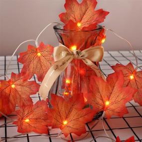 img 1 attached to Ciaell 2Pack Thanksgiving Maple Leaves String Lights - 80 LED Lights 29ft 8 Modes - Fall Lights with Waterproof Battery Box for Thanksgiving Decorations