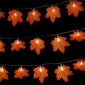 img 4 attached to Ciaell 2Pack Thanksgiving Maple Leaves String Lights - 80 LED Lights 29ft 8 Modes - Fall Lights with Waterproof Battery Box for Thanksgiving Decorations