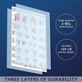 img 2 attached to 🩸 Comprehensive Laminated Anatomy Injuries Poster - Shoulder Injury Guide