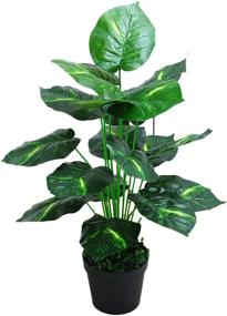 img 4 attached to Potted 18-Pointed Evergreen: Artificial Tree for Home, Office, Kitchen, Living Room Decor