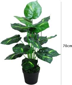 img 2 attached to Potted 18-Pointed Evergreen: Artificial Tree for Home, Office, Kitchen, Living Room Decor