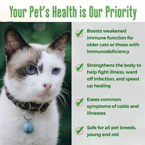 img 2 attached to BestLife4Pets Immunity Boost Supplement for Cats – Enhances Feline Respiratory and Digestive System to Combat Colds and Infections – Natural and Convenient Remedy (450 Pills)