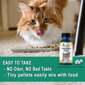 img 1 attached to BestLife4Pets Immunity Boost Supplement for Cats – Enhances Feline Respiratory and Digestive System to Combat Colds and Infections – Natural and Convenient Remedy (450 Pills)