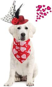 img 4 attached to 🐾 2pcs Reversible Heart Printed Pet Dog Bandana Set - Perfect Valentine's Day Dog Hair Hat Clip, Scarf, and Neckerchief for Dog and Cat - Washable!