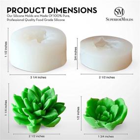 img 2 attached to 🌱 Food-Safe Silicone Succulent Mold Set - Large 2 Pc Mold for Succulents, Candles, Soap, and Baking