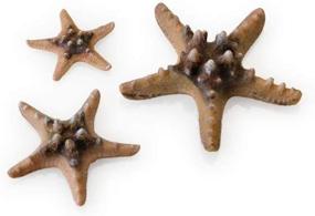 img 3 attached to BiOrb 46137 0 Starfish Natural Aquariums