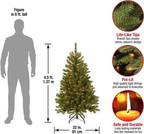 img 2 attached to National Tree Company Pre-Lit Artificial Green Christmas Tree, North Valley Spruce, 4.5 Feet, White Lights, Stand Included