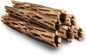 img 4 attached to SunGrow Cholla Wood: 5-Inch Long Driftwood for Aquarium Decor, Small Pet Chew Toys, Artistic Home Decor - Long Lasting