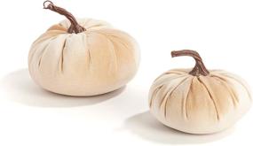 img 3 attached to 🎃 Velvet Pumpkins for Decorating - Set of 2, Realistic Stems, Plush Velveteen Fabric, 5" and 7" Size, Cream/Taupe Color, Rustic Table Decoration, Halloween/Farmhouse Home Decor+