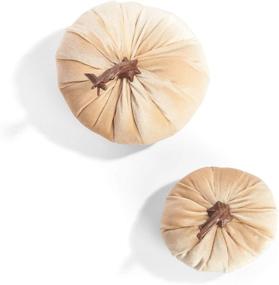 img 2 attached to 🎃 Velvet Pumpkins for Decorating - Set of 2, Realistic Stems, Plush Velveteen Fabric, 5" and 7" Size, Cream/Taupe Color, Rustic Table Decoration, Halloween/Farmhouse Home Decor+