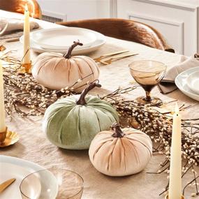 img 1 attached to 🎃 Velvet Pumpkins for Decorating - Set of 2, Realistic Stems, Plush Velveteen Fabric, 5" and 7" Size, Cream/Taupe Color, Rustic Table Decoration, Halloween/Farmhouse Home Decor+