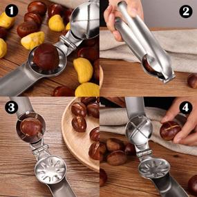 img 3 attached to 🌰 Artcome Nut Cracker Chestnut Clip Walnut Almonds Hazelnuts Pliers Metal Nut Opener Plier with 2 Picks - Multifunctional Chestnut Opener for Effortless Nut Cracking