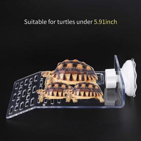 img 1 attached to 🐢 Turtle Basking Platform – Transparent Sink Wharf for Turtle Tank, Reptile Habitat with Climbing Shelf – Aquarium Animal Dock Floating Decor, Medium Size, Sucker Cap