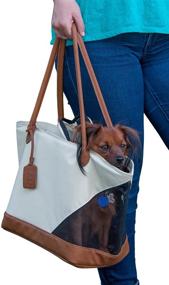 img 1 attached to 🐾 R&amp;R Carrier for Small Dogs and Cats by Pet Gear