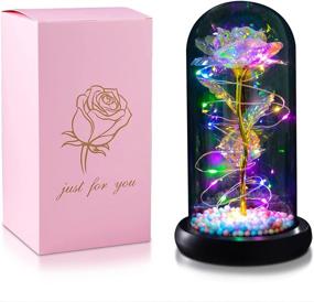 img 4 attached to 🌹 Enchant your loved ones with our Christmas Rose Gifts – Galaxy Flower Rose, Beauty and The Beast Rose in Glass. Perfect for Girlfriend, Christmas, Anniversary and Valentine's Day!