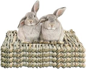 img 4 attached to 🐇 WUHOSTAM 4 Pack Natural Grass Mat for Rabbits - Hay Woven Bed Mat for Sleeping, Chewing, Nesting, Play - Toy Mats for Guinea Pigs, Parrots, Rabbits, Bunnies, Hamsters, Rats