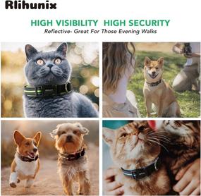 img 1 attached to 🐾 Rlihunix Pet Collar: Reflective, Personalized, Adjustable for Safety & Style - Suitable for Dogs & Cats of All Sizes