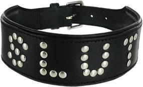 img 3 attached to Provocative Studded Leather S&M Slut Collar - Indulge in Playful Restraint