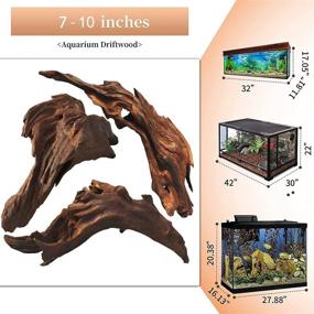 img 3 attached to WDEFUN 3-Piece Natural Driftwood: Unique Aquarium 🐚 Decorations to Enhance Reptile and Fish Tank Aesthetics!