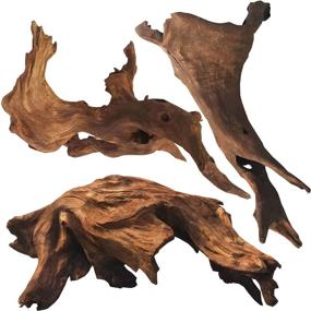 img 4 attached to WDEFUN 3-Piece Natural Driftwood: Unique Aquarium 🐚 Decorations to Enhance Reptile and Fish Tank Aesthetics!