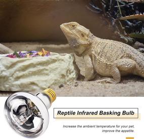 img 1 attached to 🦎 2 Pack 50W Reptile Heat Lamp: Full Spectrum UVA UVB Basking Spot with Soft White Light Sun Lamp for Reptiles and Amphibians - Ideal for Tortoise, Lizard, Bearded Dragon, Snake