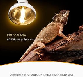 img 2 attached to 🦎 2 Pack 50W Reptile Heat Lamp: Full Spectrum UVA UVB Basking Spot with Soft White Light Sun Lamp for Reptiles and Amphibians - Ideal for Tortoise, Lizard, Bearded Dragon, Snake