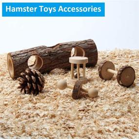 img 1 attached to 🐹 8-Piece Coolrunner Hamster Chew Toy Set with Dumbbell, Unicycle, Ball Swing, Hollow Tree Trunk, Pine Cones, Bell Roller, Seesaw, Molar String – Teeth Care Molar Toy Included