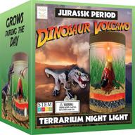 🌋 light-up dinosaur terrarium with volcano by hapinest logo