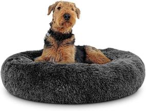 img 2 attached to 🐶 Dogs Bed Calming Donut Dog Bed: The Ultimate Solution for Anxiety Reduction and Sound Sleep (Also Perfect for Cats!)