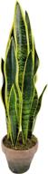 wangyang sansevieria artificial mother unbreakable логотип