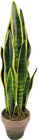 img 4 attached to WANGYANG Sansevieria Artificial Mother Unbreakable