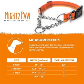 img 1 attached to Mighty Paw Martingale Dog Collar 2.0: Trainer-Approved Limited Slip Collar with Stainless Steel Chain, Heavy Duty Buckle, and Modified Cinch Collar for Gentle and Effective Pet Training