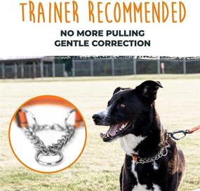 img 3 attached to Mighty Paw Martingale Dog Collar 2.0: Trainer-Approved Limited Slip Collar with Stainless Steel Chain, Heavy Duty Buckle, and Modified Cinch Collar for Gentle and Effective Pet Training