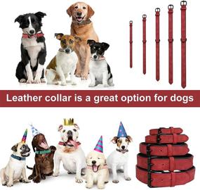 img 1 attached to 🐶 Adjustable Dog Collar - Durable Classic PU Leather Pet Collar for Large, Medium & Small Dogs - Comfortable Collar with 5 Sizes & 6 Colors Available (55 x 2.5 cm, Gray)