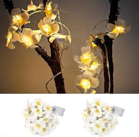 img 3 attached to 🌺 2-Pack Flower Fairy Lights, Aipatal 10ft 20 LED Plumeria String Lights Battery Operated with 2xAA Batteries, Frangipani Indoor String Lights Décor for Wedding Christmas Party Garden Patio