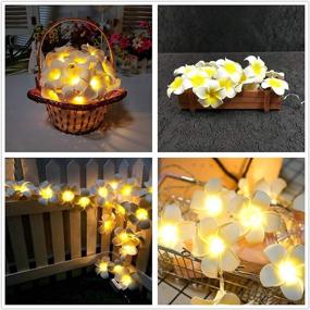 img 2 attached to 🌺 2-Pack Flower Fairy Lights, Aipatal 10ft 20 LED Plumeria String Lights Battery Operated with 2xAA Batteries, Frangipani Indoor String Lights Décor for Wedding Christmas Party Garden Patio